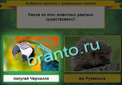 игра Выбирайка помощь Уровень 3059