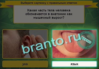 игра Выбирайка ответ на Уровень 3060