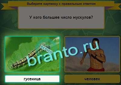 игра Выбирайка ответ на Уровень 3070