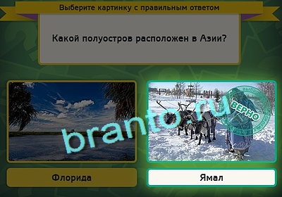 Выбирайка решения Уровень 3082