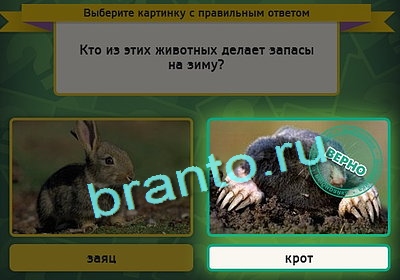 Игра Выбирайка ответы Уровень 3087