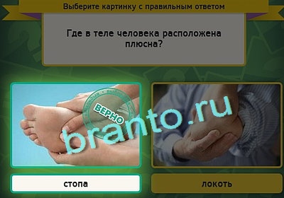 Одноклассники Выбирайка ответы Уровень 3098