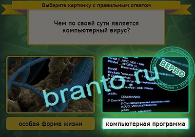 Выбирайка игра ответы Уровень 3103