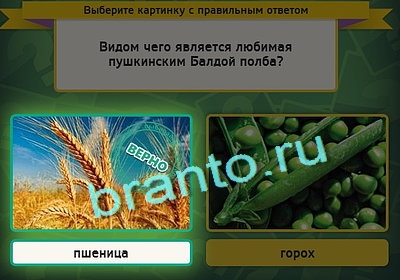 Игра Выбирайка ответы Уровень 3107