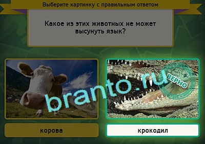 Выбирайка решения Уровень 3112