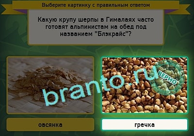 Выбирайка ответы в картинках Уровень 3116