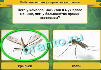 Выбирайка игра ответы Уровень 3133