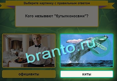 Выбирайка игра ответы Уровень 3143