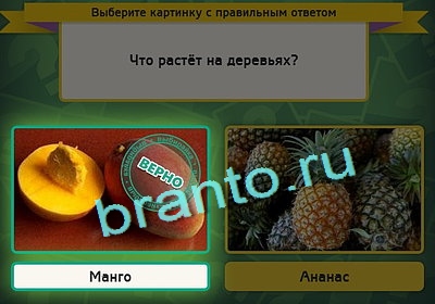 Игра Выбирайка подсказки Уровень 3148