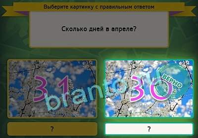 игра Выбирайка ответ на Уровень 3160