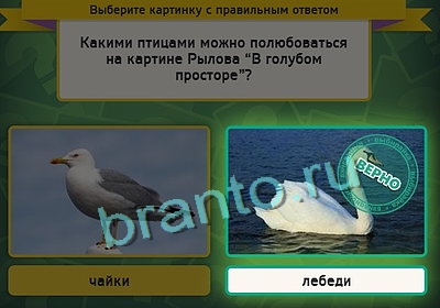 Выбирайка решения Уровень 3162