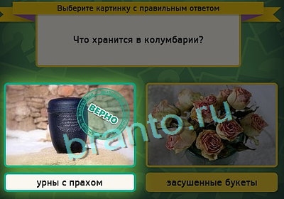 игра Выбирайка помощь Уровень 3169