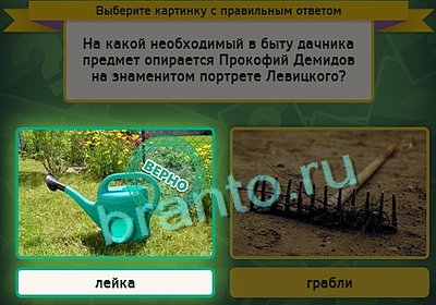 игра Выбирайка ответ на Уровень 3170