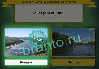 решебник на игру Выбирайка Уровень 3171