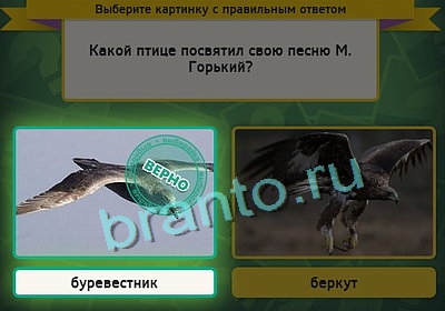 Выбирайка решения Уровень 3172