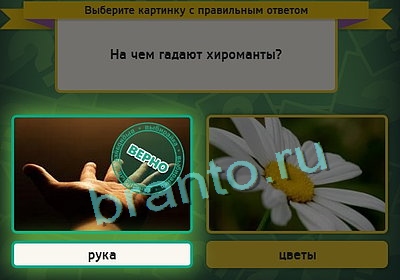 Игра Выбирайка ответы Уровень 3177