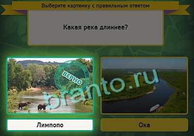 Выбирайка игра подсказки Уровень 3204