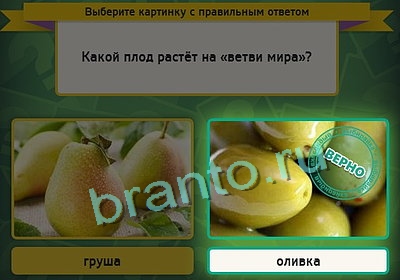 ответы на игру Выбирайка в одноклассниках Уровень 3211
