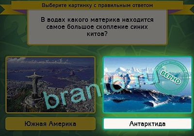 решебник на игру Выбирайка Уровень 3221