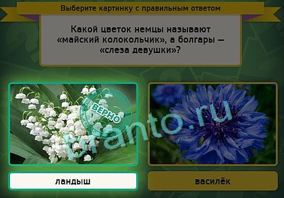 Выбирайка решения Уровень 3222