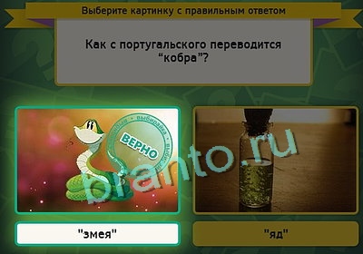 Выбирайка игра подсказки Уровень 3224