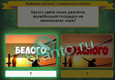 Выбирайка ответы в картинках Уровень 3226