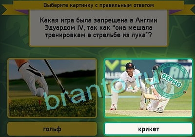 Игра Выбирайка подсказки Уровень 3228