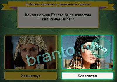 игра Выбирайка ответ на Уровень 3230