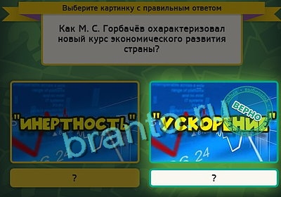 игра Выбирайка ответ на Уровень 3240