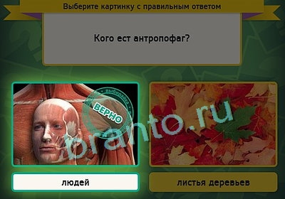 Решения на игру Выбирайка Уровень 3243