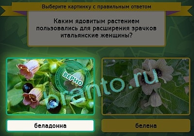 ответы к игре Выбирайка Уровень 3245