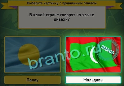 Выбирайка игра ответы Уровень 3263