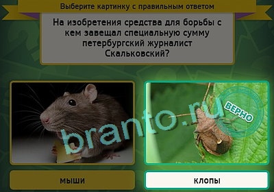 Выбирайка ответы в картинках Уровень 3266