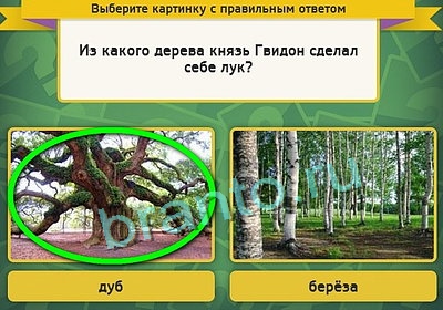 игра Выбирайка ответ на Уровень 3270