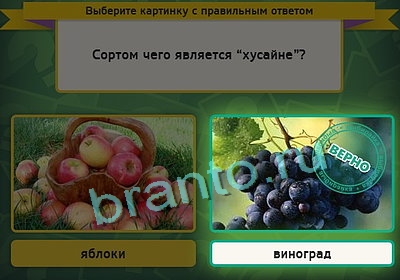 Выбирайка игра подсказки Уровень 3284