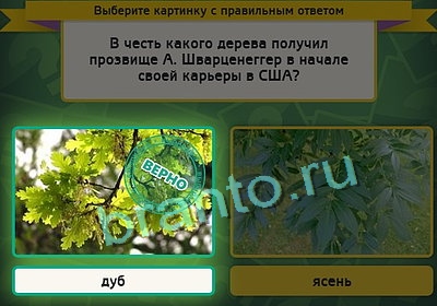 Игра Выбирайка ответы Уровень 3287