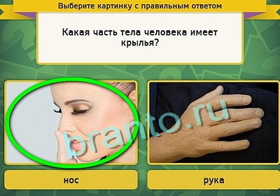 Выбирайка игра подсказки Уровень 3294