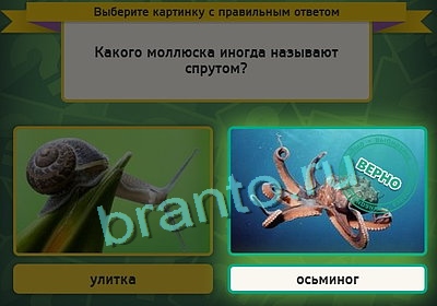 Выбирайка игра помощь Уровень 3295