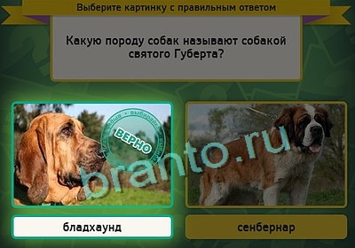 Выбирайка ответы в картинках Уровень 3296