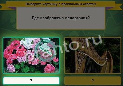 решебник на игру Выбирайка Уровень 3311