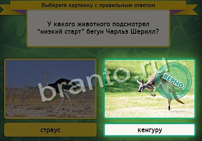 Выбирайка игра подсказки Уровень 3314