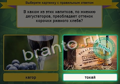 игра Выбирайка помощь Уровень 3319