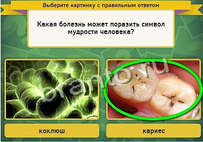 Одноклассники Выбирайка ответы Уровень 3338