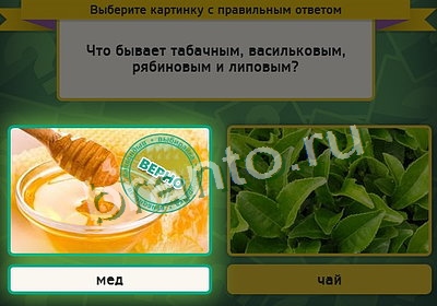 Игра Выбирайка ответы Уровень 3347