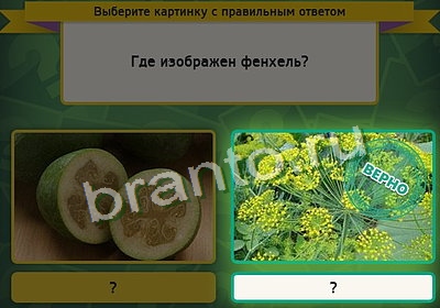 игра Выбирайка помощь Уровень 3349