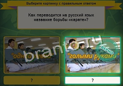 Выбирайка игра помощь Уровень 3355