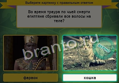 Игра Выбирайка подсказки Уровень 3358