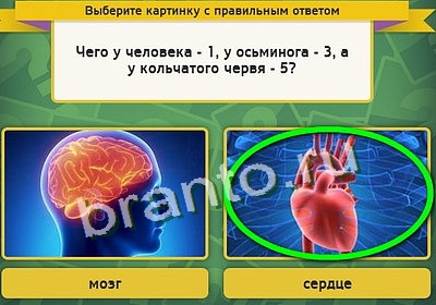 игра Выбирайка ответ на Уровень 3400