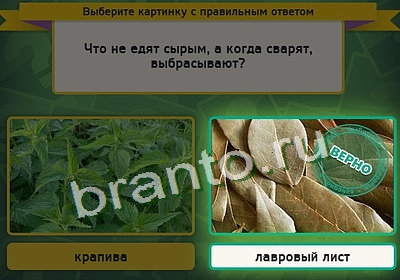 Игра Выбирайка подсказки Уровень 3408