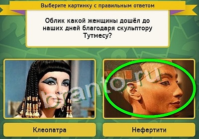 Выбирайка игра ответы Уровень 3433